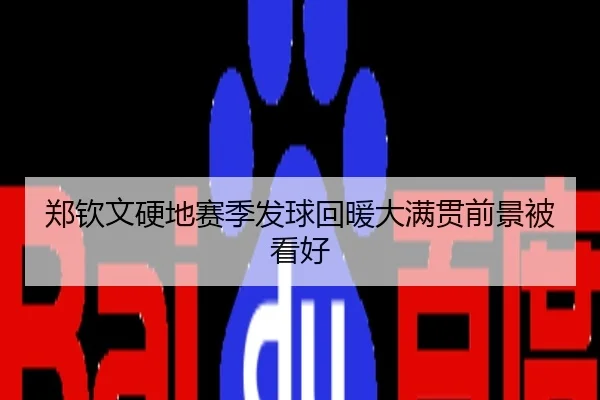 郑钦文硬地赛季发球回暖大满贯前景被看好